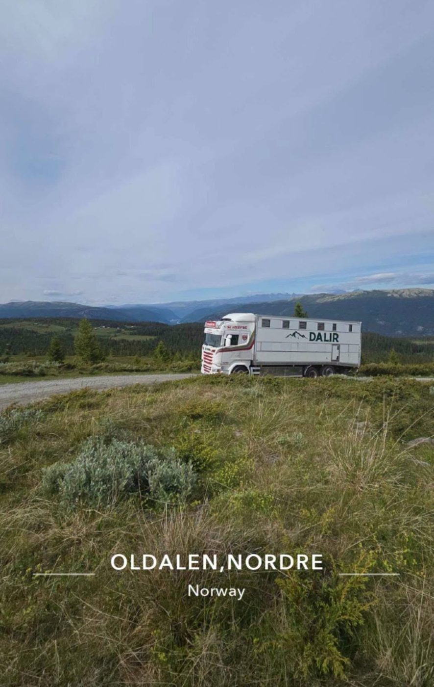 Utstyr tilpasset dyretransport